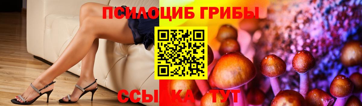 Псилоцибиновые грибы GOLDEN TEACHER  Вход с VPN  цены наркотик  Фурманов 